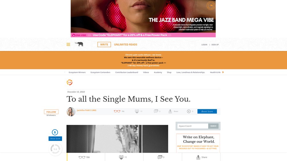 Elephant Journal article: To all the single mums, I see you